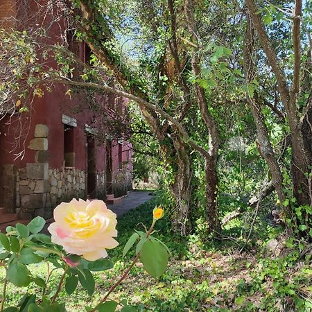 Apartamentos Rurales La Oropendola Jaraiz de la Vera Luaran gambar