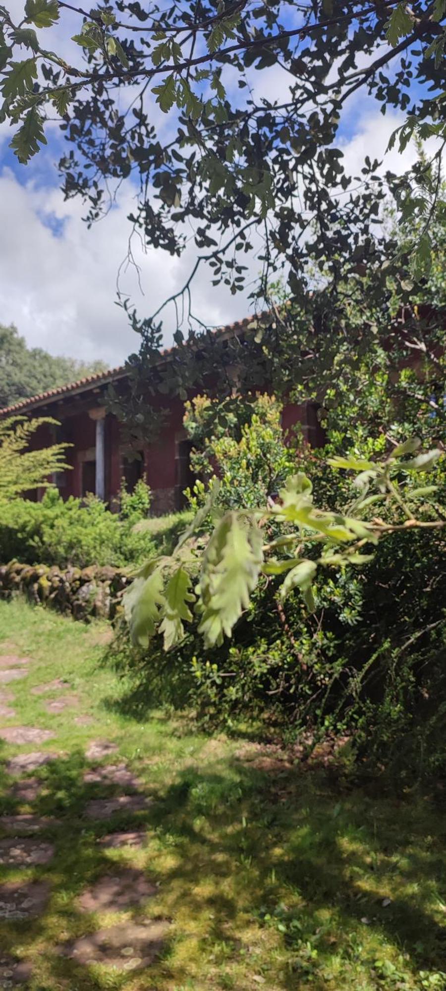 Apartamentos Rurales La Oropendola Jaraiz de la Vera Luaran gambar