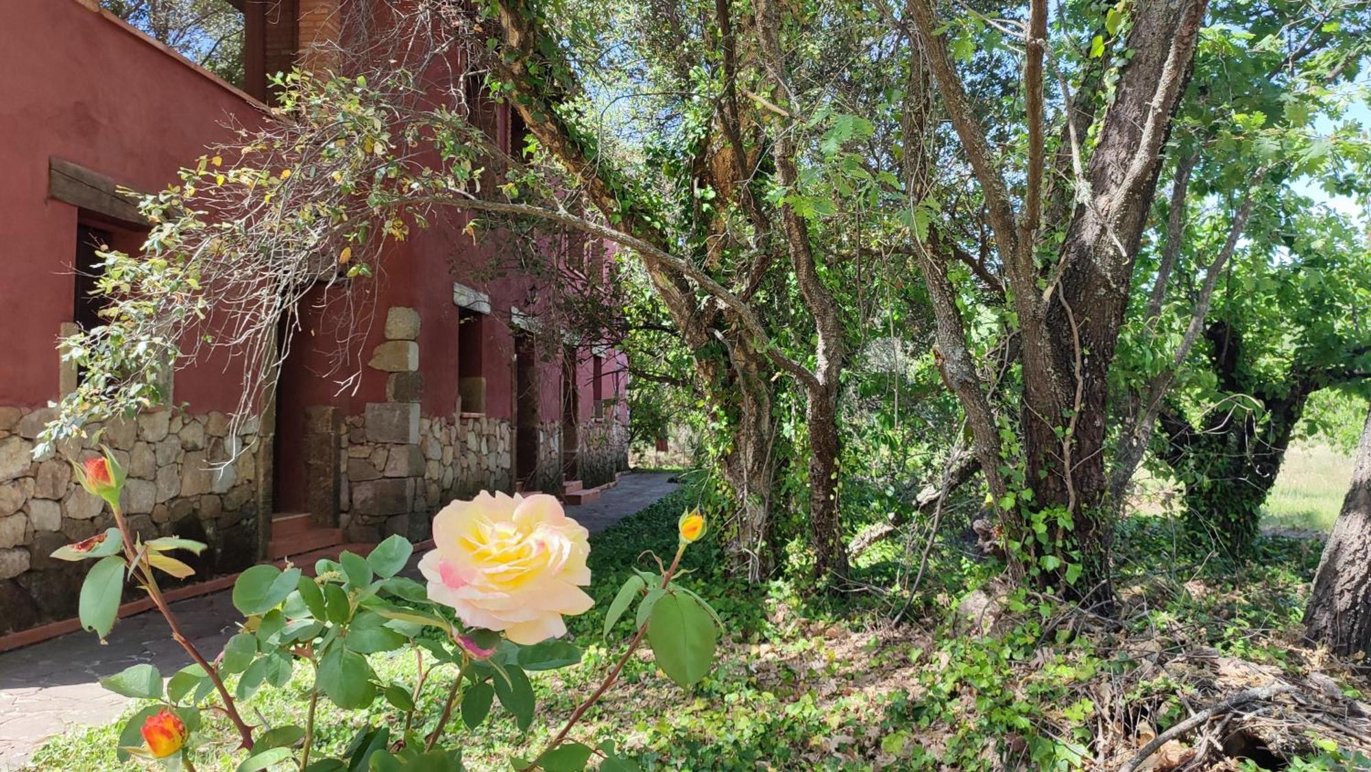 Apartamentos Rurales La Oropendola Jaraiz de la Vera Luaran gambar