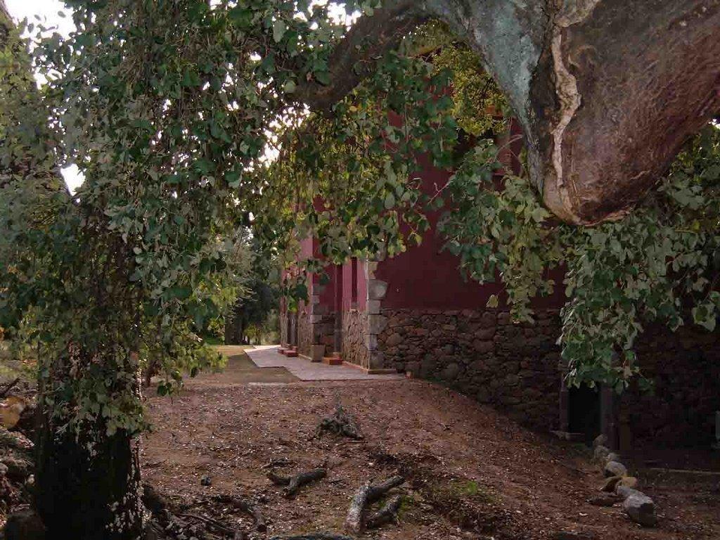 Apartamentos Rurales La Oropendola Jaraiz de la Vera Luaran gambar